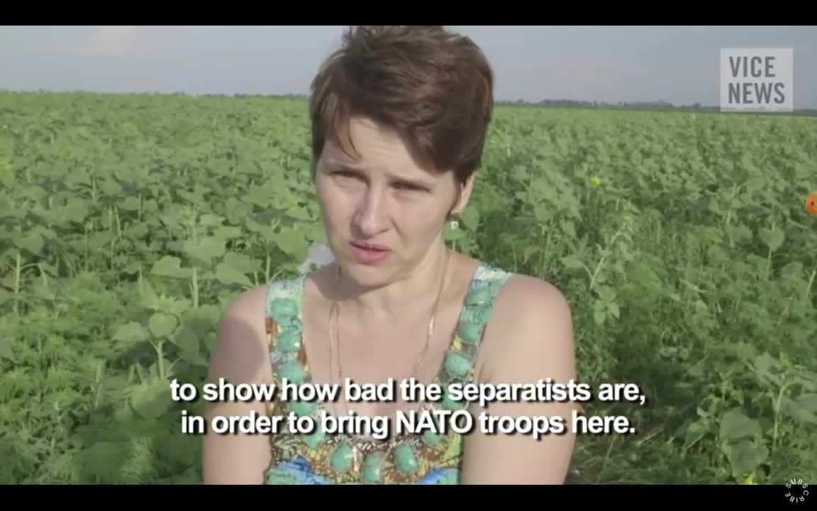 2014 Ukraine war. MH17 airliner crash. Opinion from locals