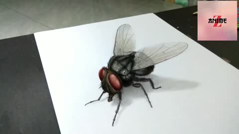 Insect Drawing 3D