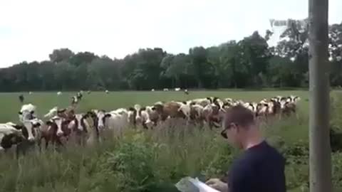 😂😂😂😂😂😂😂😂😂😂😂😂😂😂😂