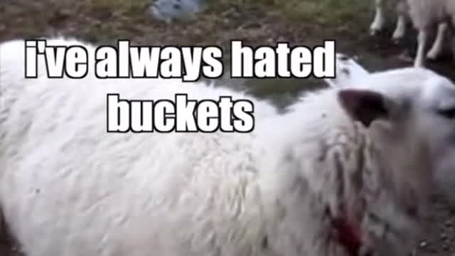 Credit to KLR Productions on YT and tik tok