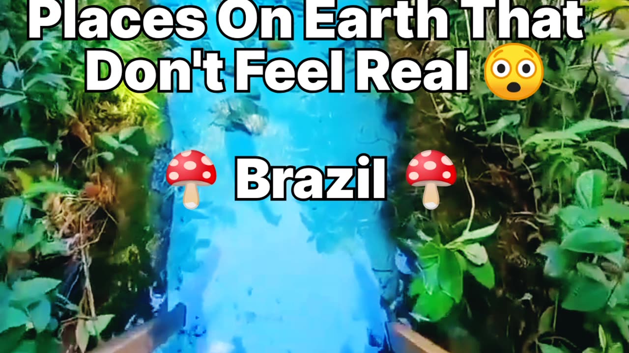 Places On Earth That Don't Feel Real - Brazil 🌴🍄 / #brazil #nature #naturelovers