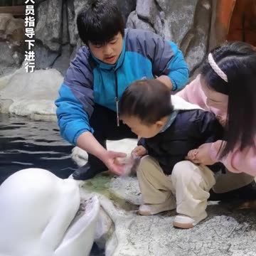 A dolphin and a little baby | fish loves little kids | friendly dolphin