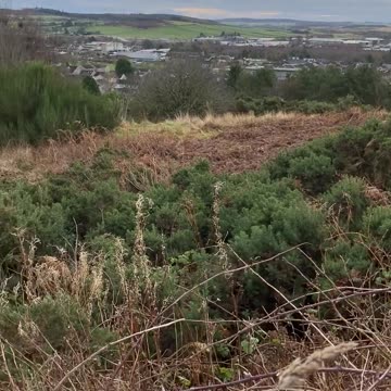 Dec2023 Xmas travel for UK disruption set to continue