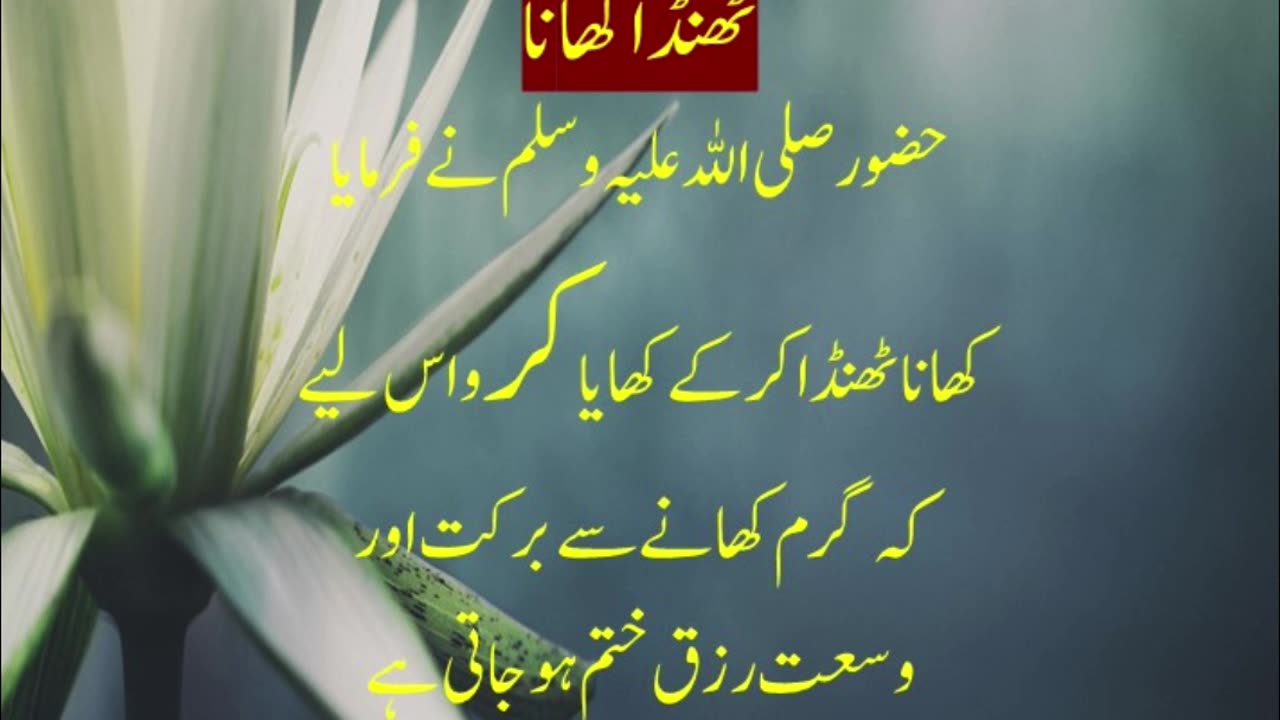 Hadees Hadees in Urdu