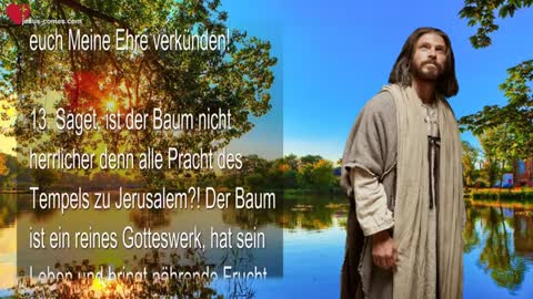 Jesus erklärt die wahre Gottesverehrung ❤️ Baut NICHT Bethäuser, sondern Herbergen für die Armen