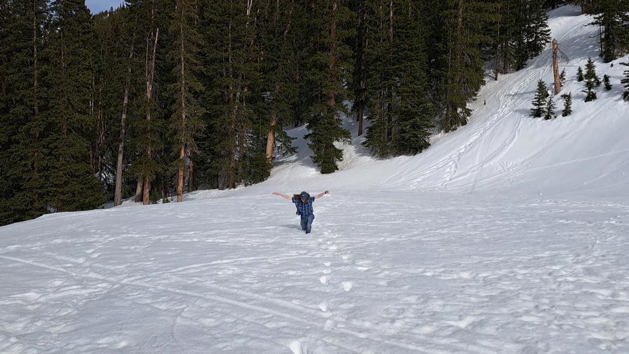 A "run" in the snow