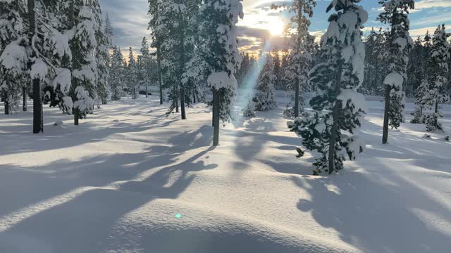 The Sun Shining on the Morning Snow – Central Oregon – Vista Butte Sno-Park – 4K