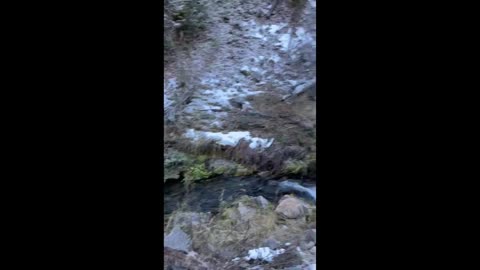 Spearfish Canyon Hike