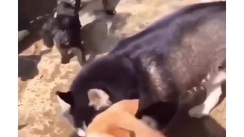 What he did with that water 😂 watch till end.