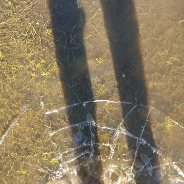 Its Oddly Satisfying... walking on cracking ice.