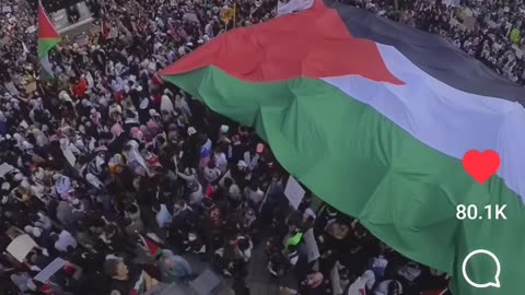 Voice's Of Palestine 7