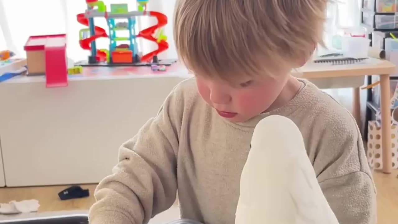 Marni the Cockatoo wants to steal Rémi's home baked cookies