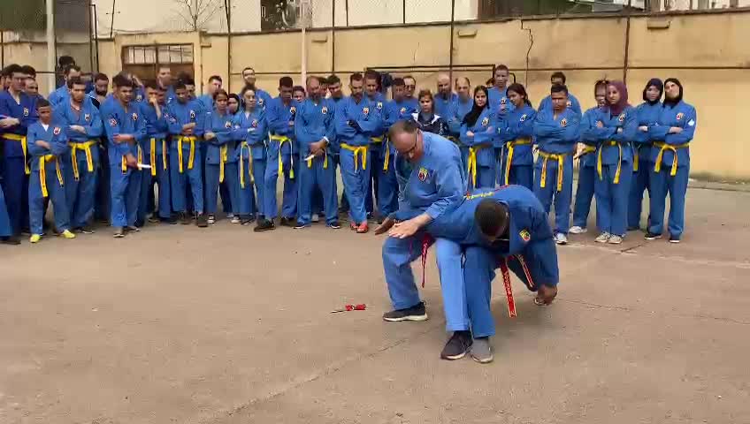 Vovinam viet vo dao free demo