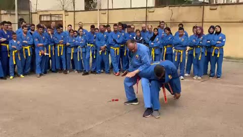 Vovinam viet vo dao free demo