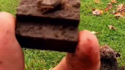 Rumble Metal Detecting Clip #27 of 60 - Mystery Item