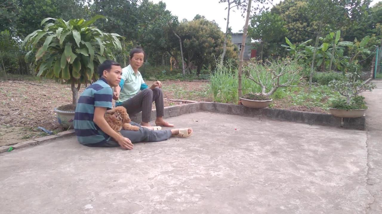 Family having fun with cute puppy (Cutest Ever )