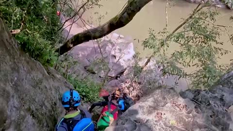 Former illegal loggers become tour guides in Vietnam