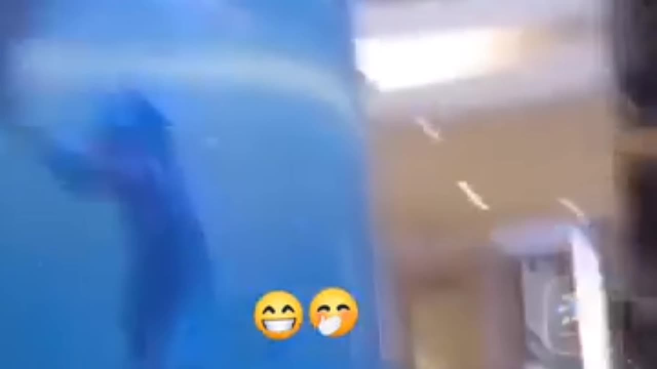 emergency moment