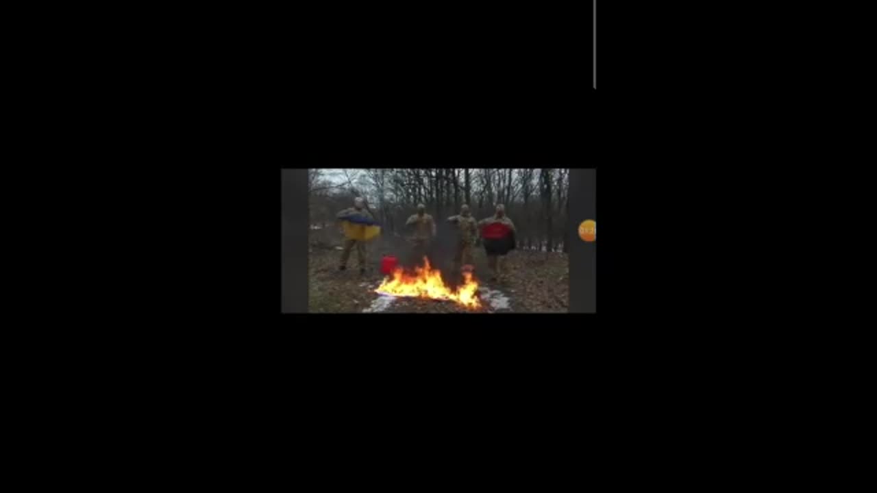 ukraine burn polland and hungary flag ,befor the war