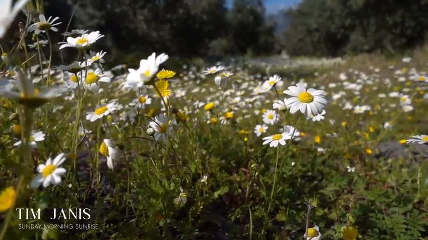 Christian Healing Worship Peaceful Scenery