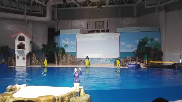 제주 한화 아쿠아리움- 돌고래 쇼 1 Jeju Hanwha Aquarium - Dolphin Show 1