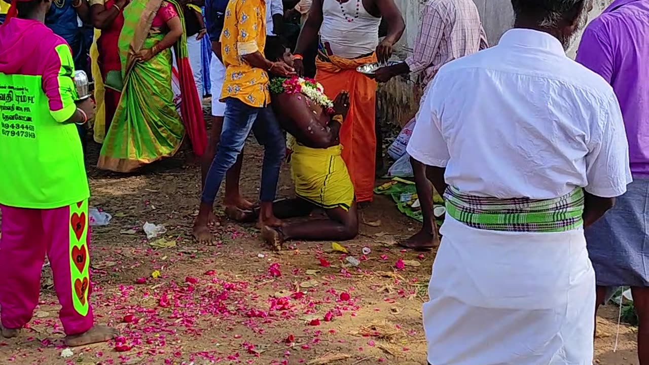 Crazy Indian Festival (Tamil)