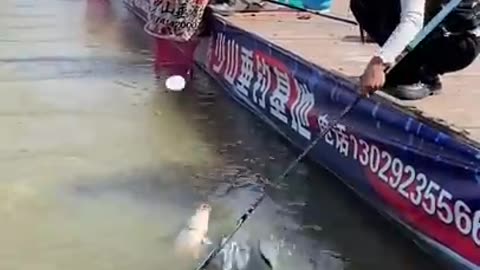 Best Fishing ever