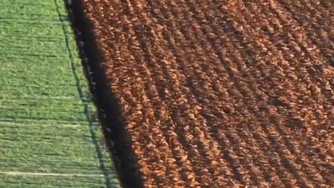 Crc vídeos curiosos