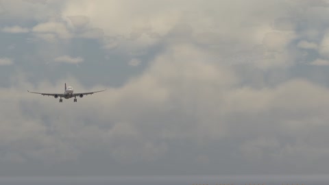 A330 Short Final (XP12-B5)