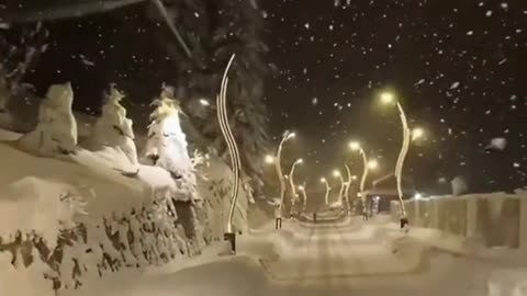 #nightview #snowview #snow #winter #sceneryvideos #scenery #beauty #tiktok #foryou