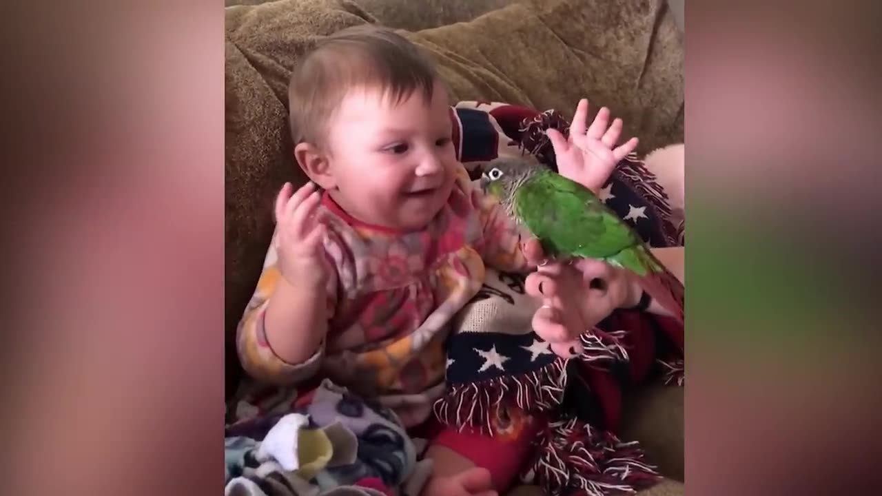 Funniest-Baby-Videos-of-the Week-Try-Not-To-Laugh