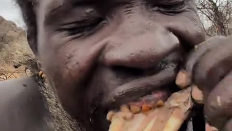 Wow that's incredible delicious food hadza cooks middle of nowhere without any spynces😱