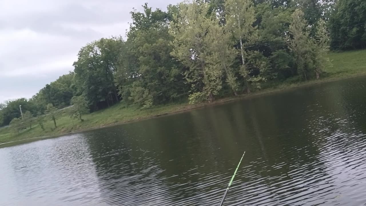 Textbook Catching a Bass Fish with a Texas Rigged Blazin Worm