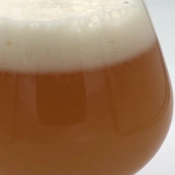 Equilibrium Mc2 DIPA Craft Beer Brew Review