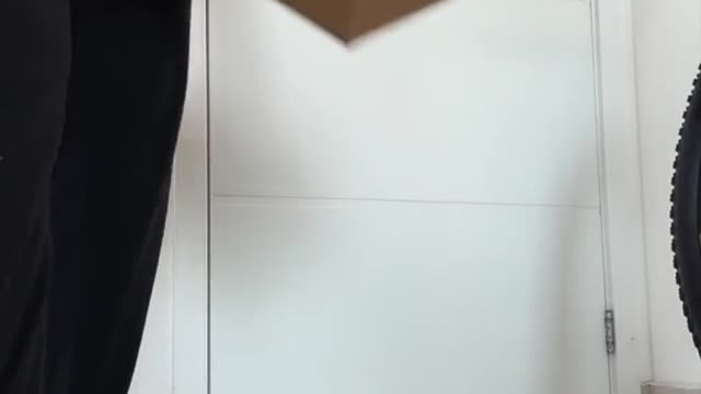 A encomenda encantada da China