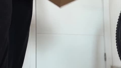 A encomenda encantada da China