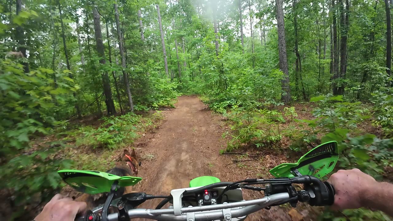 Nick With Ranger and Rebel On The New Trails