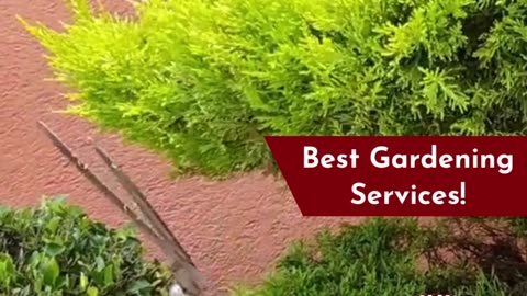 Gardening Services in Bangalore