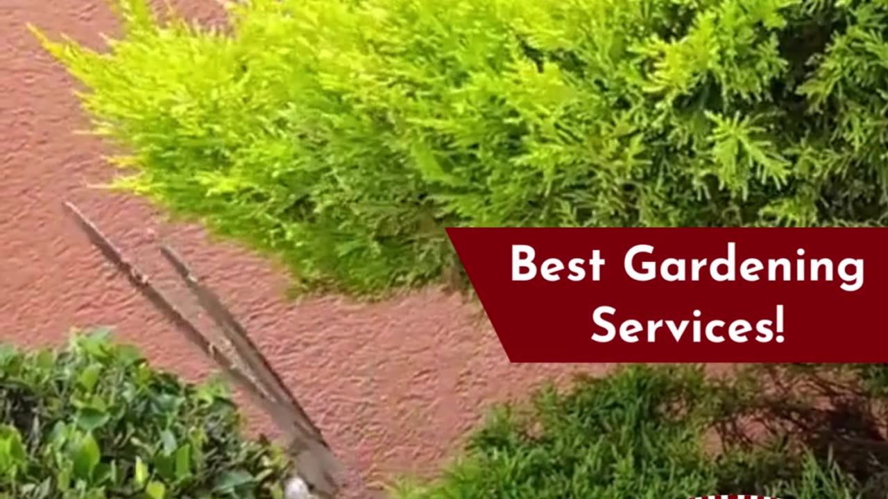 Gardening Services in Bangalore