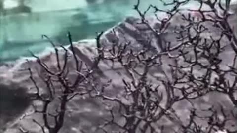 Crystal clear water in a mountain river