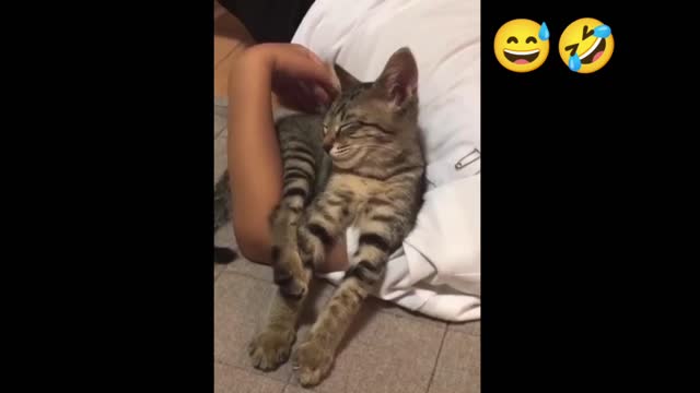 You laugh, You lose 😂 Funniest Animals 😂 Part 02