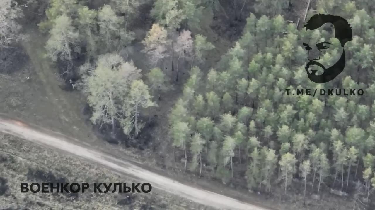 In the Kremensky forest "Solntsepyok"