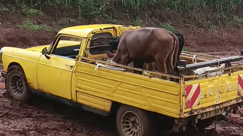 Dangerous roads