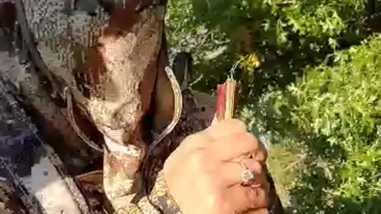 Nature provides whilst hunting!