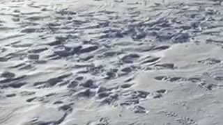Would you do this to catch a fish?