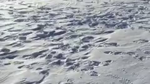 Would you do this to catch a fish?