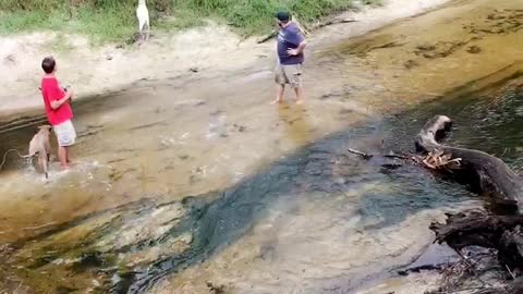 Belgian Malinois Jumps Over River Embankment