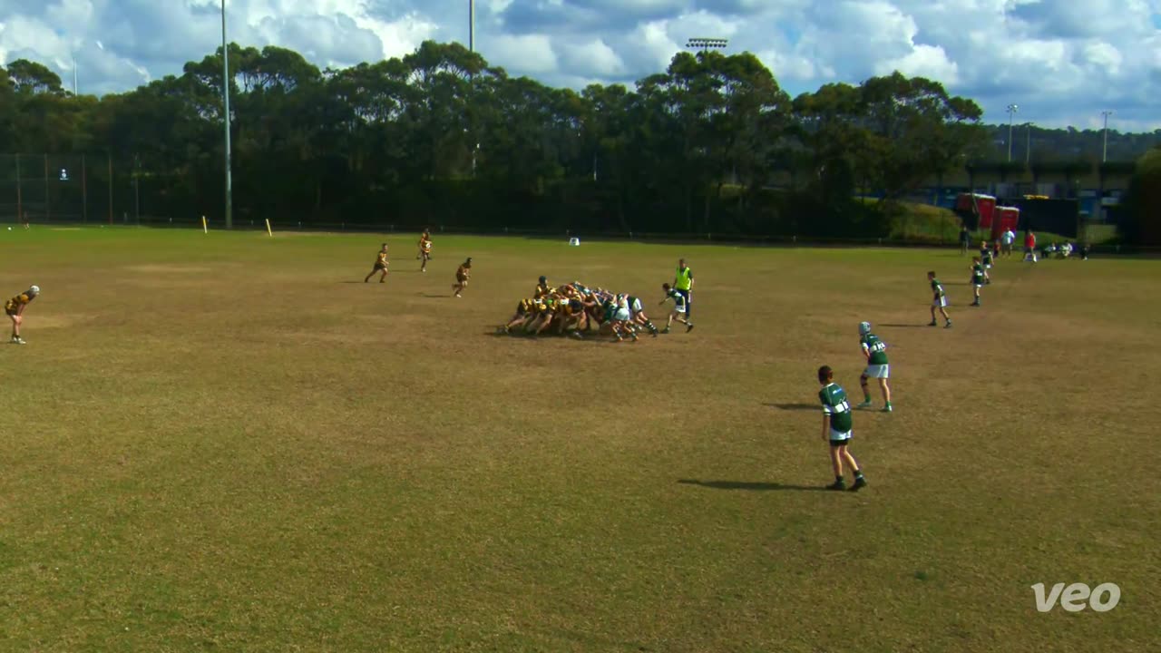 Narrabeen Tigers u14 vs Forest