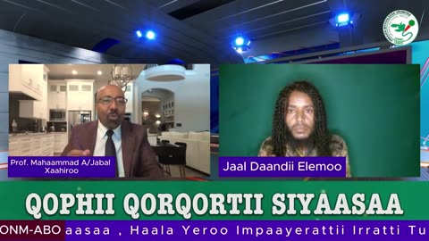 Qophii Qorqortii Siyaasaa ONM-ABO Gurraandhala 12, 2024