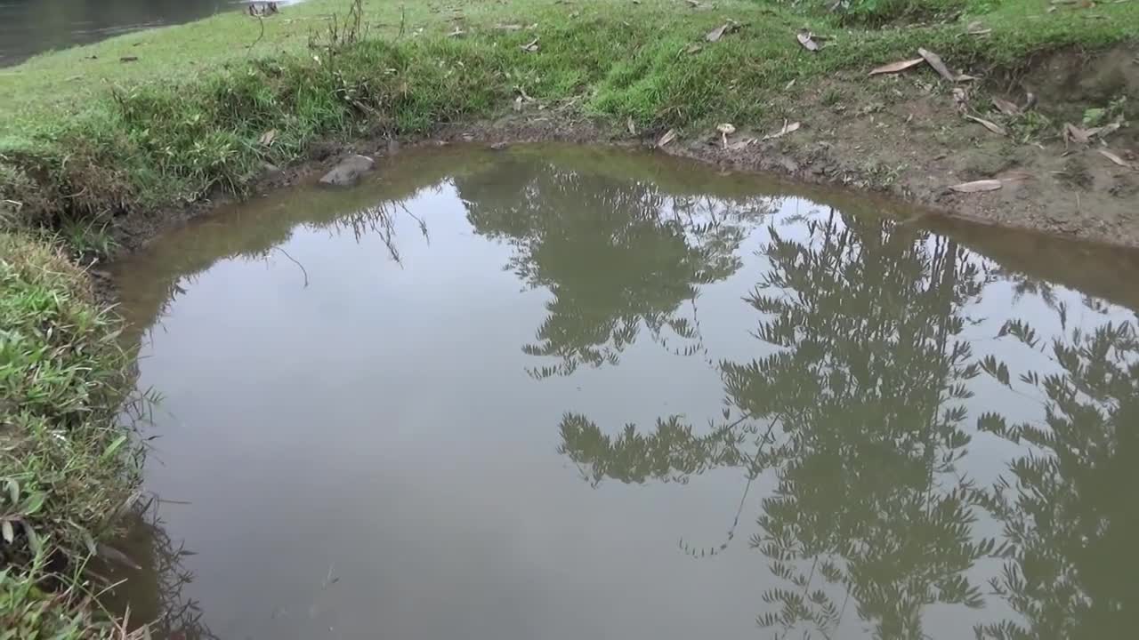 Hunting wild fish | Catch a lot of fish in the wild lake by using the big pump to suck the water-17